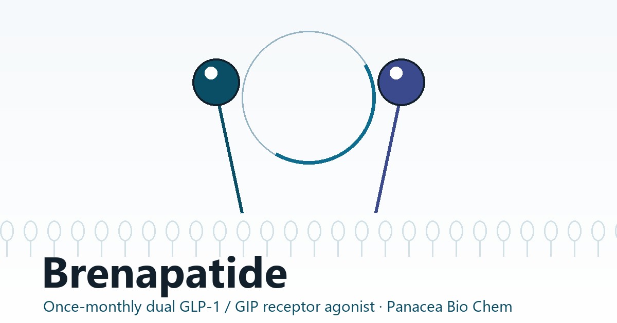 Brenapatide dual GLP-1 and GIP receptor agonism — original scientific illustration by Panacea Bio Chem